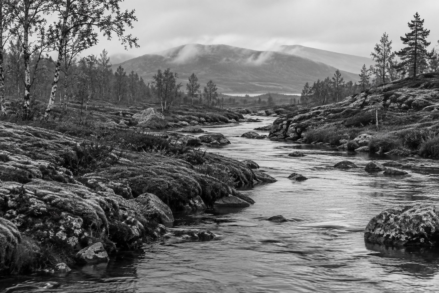A gentle stream winding between rocky banks and birch trees beneath misty Nordic hills, in black and white.